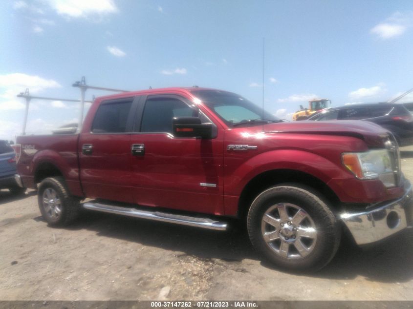 2013 FORD F-150 XL/XLT/FX4/LARIAT - 1FTFW1ET4DFD52129