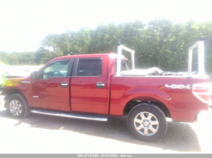 2013 FORD F-150 XL/XLT/FX4/LARIAT - 1FTFW1ET4DFD52129