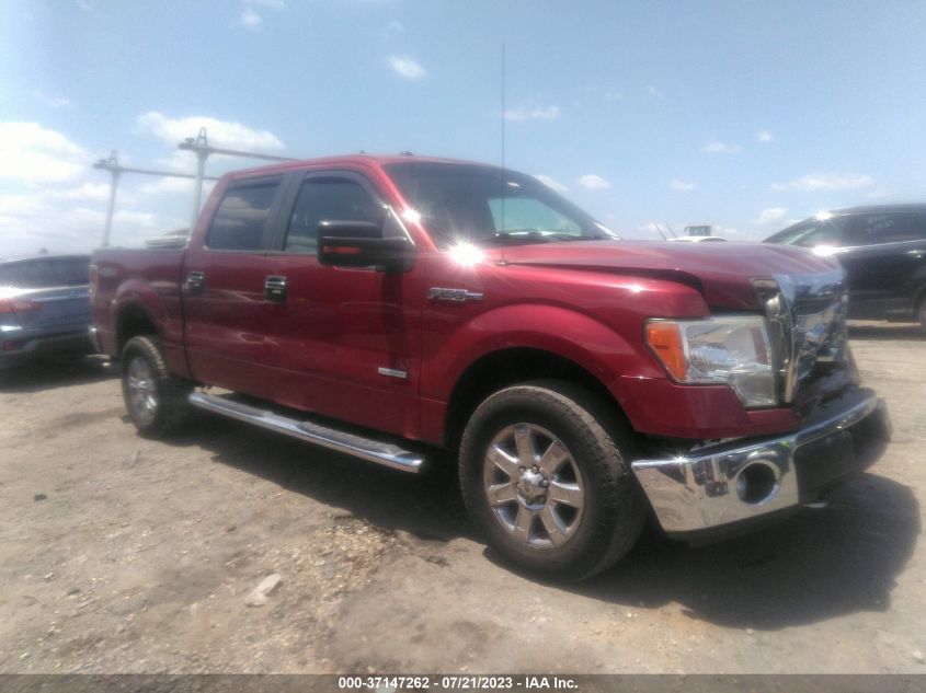 2013 FORD F-150 XL/XLT/FX4/LARIAT - 1FTFW1ET4DFD52129