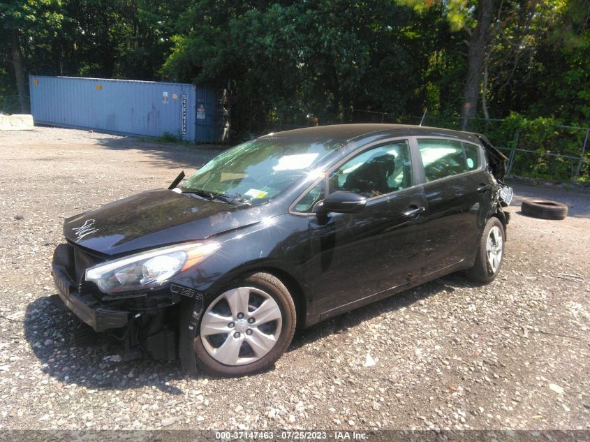 2016 KIA FORTE 5-DOOR LX - KNAFK5A80G5653718
