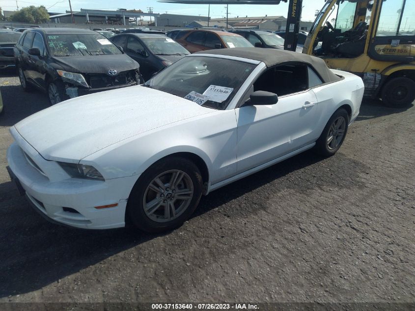 2014 FORD MUSTANG V6 - 1ZVBP8EM2E5317137