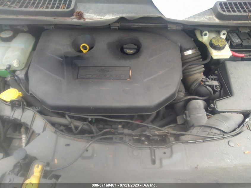2013 FORD ESCAPE SEL - 1FMCU0H96DUD56354