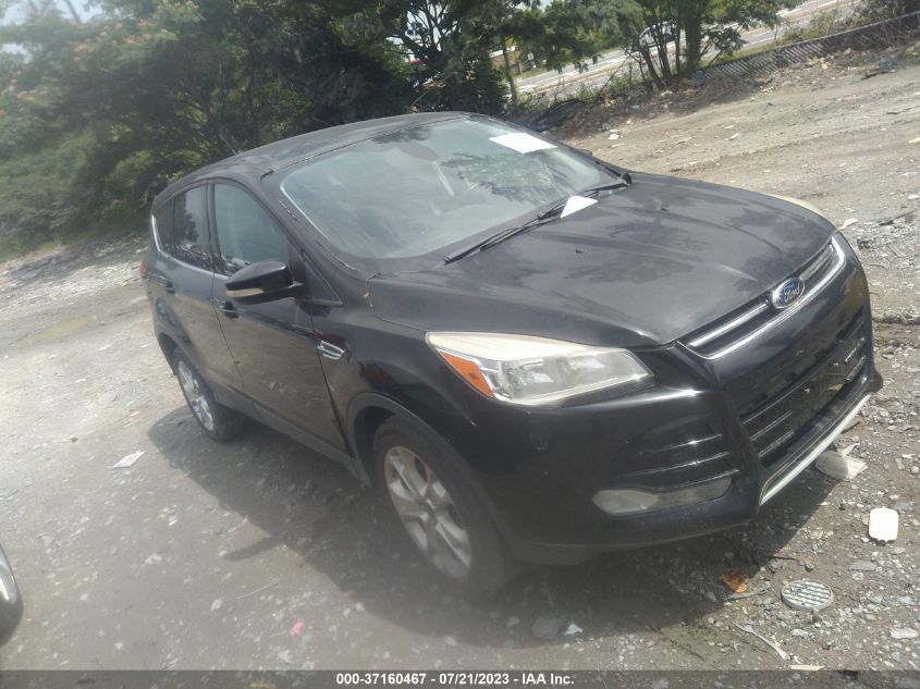 2013 FORD ESCAPE SEL - 1FMCU0H96DUD56354