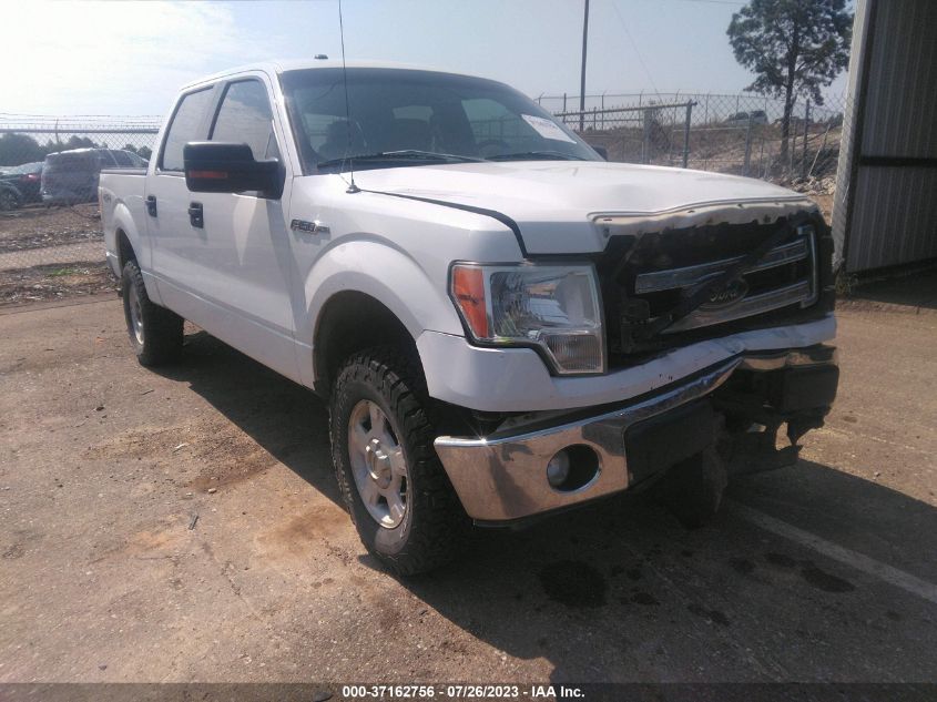 2013 FORD F-150 XL/XLT/FX4/LARIAT - 1FTFW1EF3DFC58897