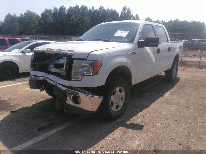 2013 FORD F-150 XL/XLT/FX4/LARIAT - 1FTFW1EF3DFC58897