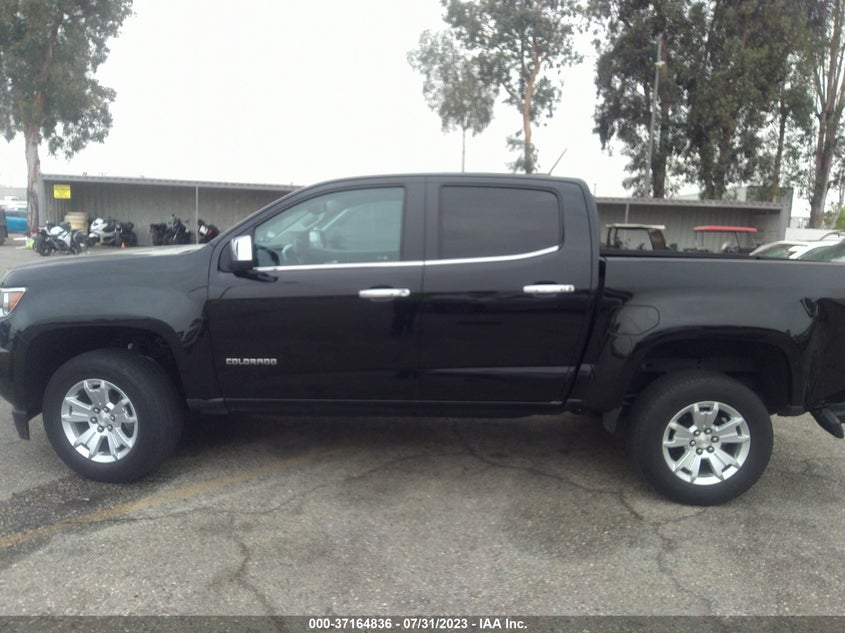 VIN 1GCGSCEN1K1175921 2019 CHEVROLET COLORADO 2WD LT