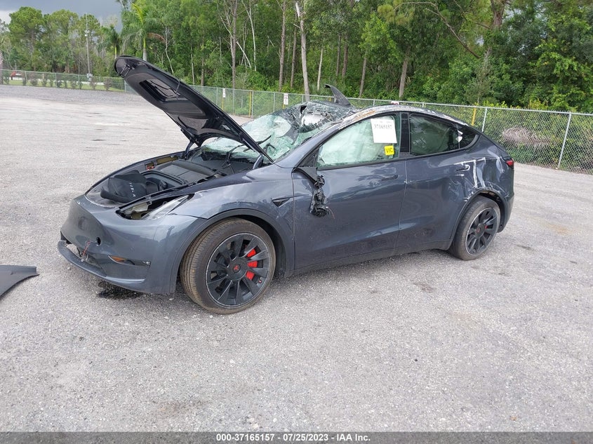 VIN 7SAYGDEE6NF459491 2022 TESLA MODEL Y