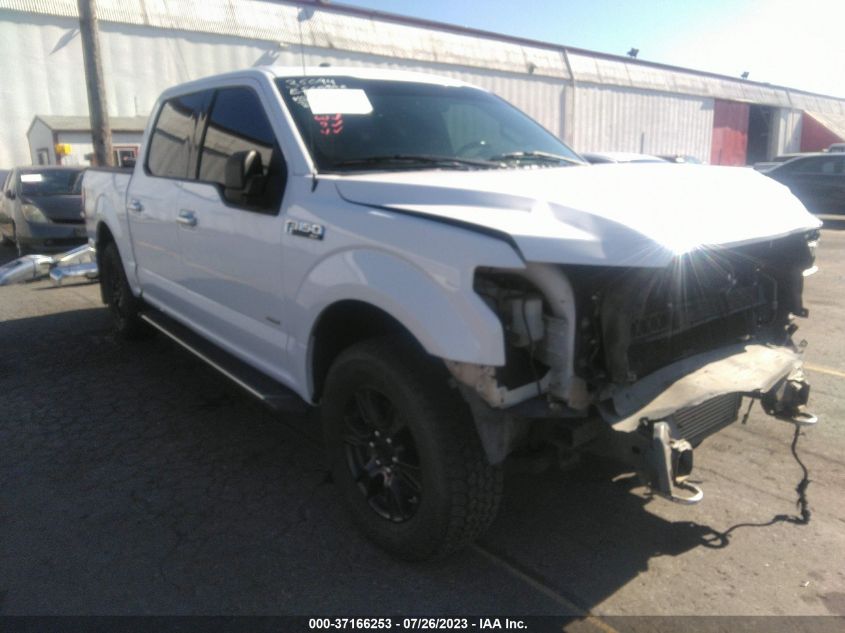 2015 FORD F-150 XLT/XL/LARIAT/PLATINUM - 1FTEW1EGXFKE92839