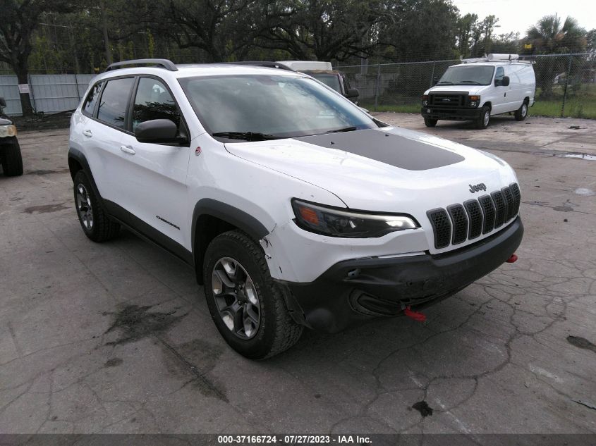 2019 JEEP CHEROKEE TRAILHAWK - 1C4PJMBX3KD386356