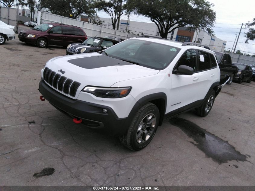 2019 JEEP CHEROKEE TRAILHAWK - 1C4PJMBX3KD386356