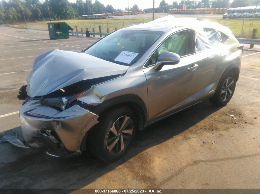 2019 LEXUS NX 300H - JTJCJRBZ9K2115111