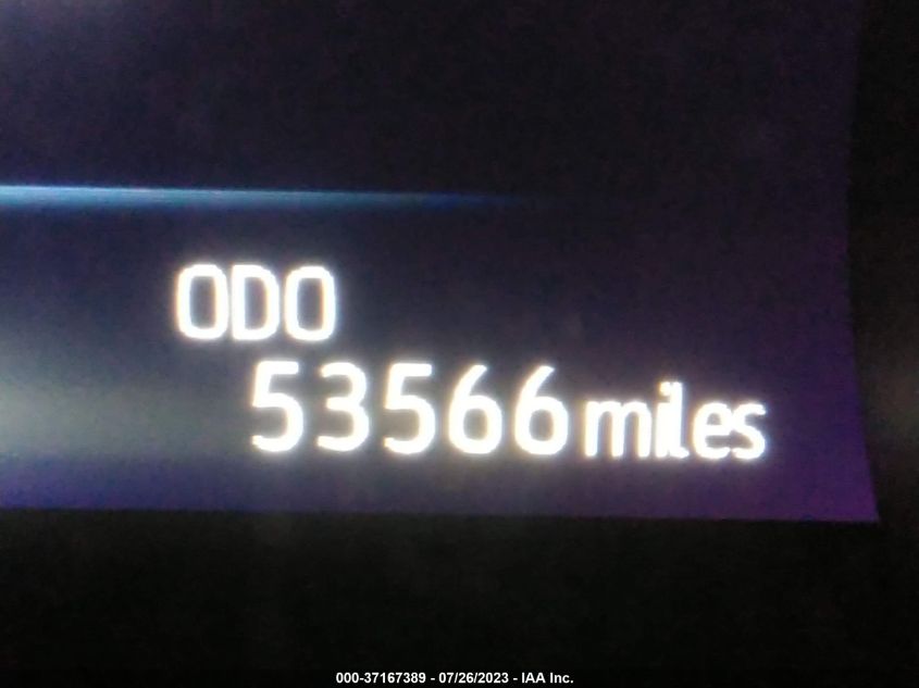 2019 TOYOTA CAMRY XSE - 4T1B61HK1KU702483