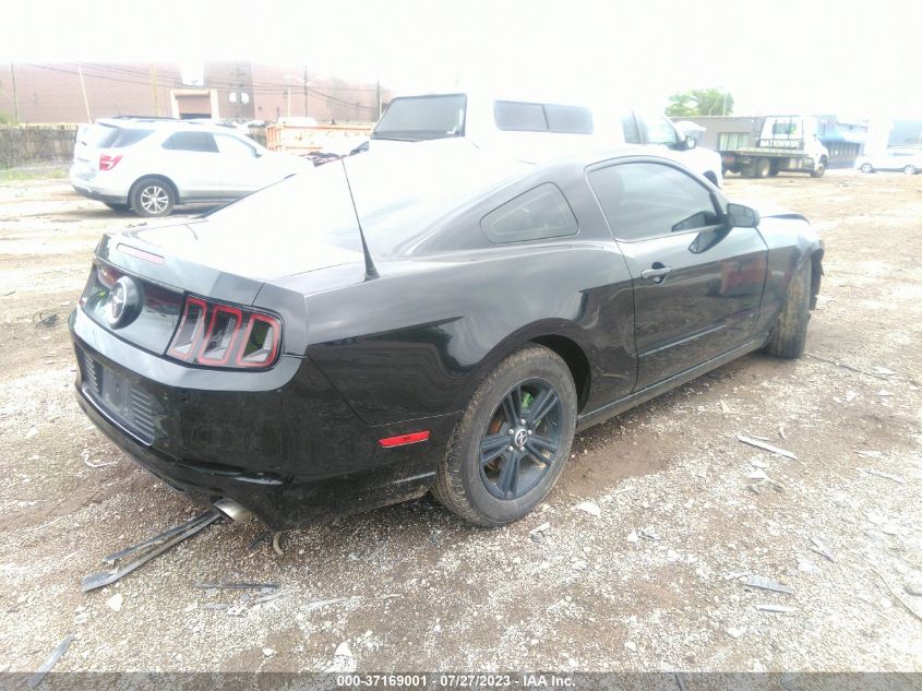 2014 FORD MUSTANG V6 - 1ZVBP8AMXE5283812