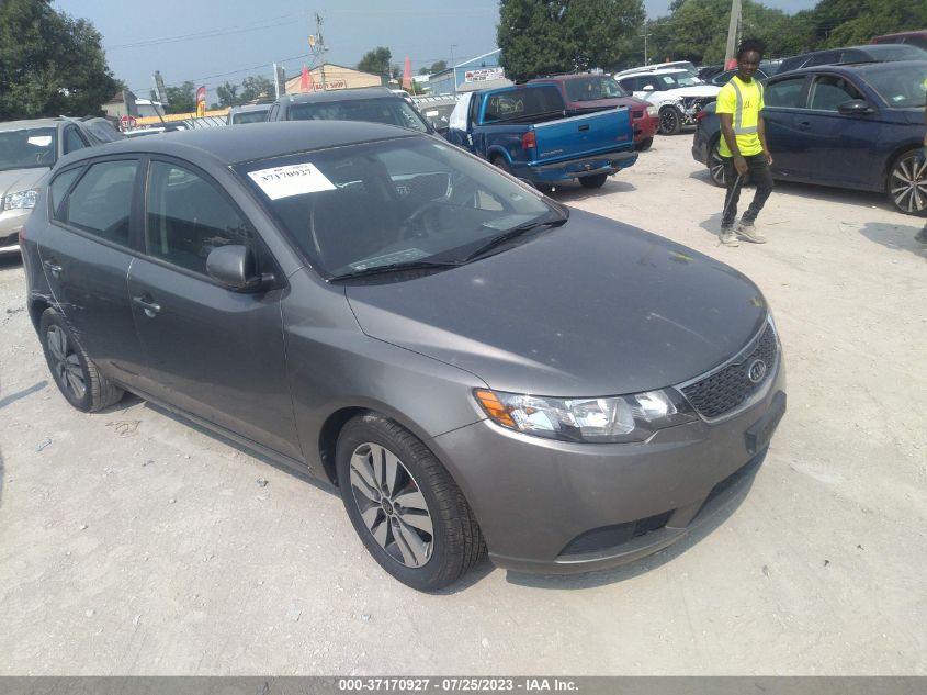 2013 KIA FORTE 5-DOOR EX - KNAFU5A26D5656043