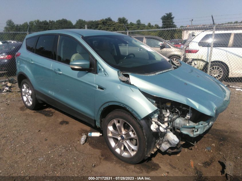 2013 FORD ESCAPE SEL - 1FMCU0HX1DUB66086