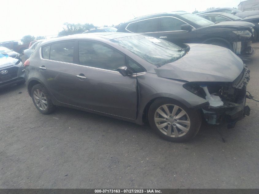 2015 KIA FORTE 5-DOOR EX - KNAFX5A86F5283858