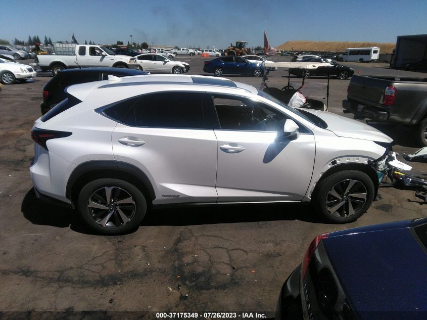 2021 LEXUS NX NX 300H - JTJGJRDZ8M5013741