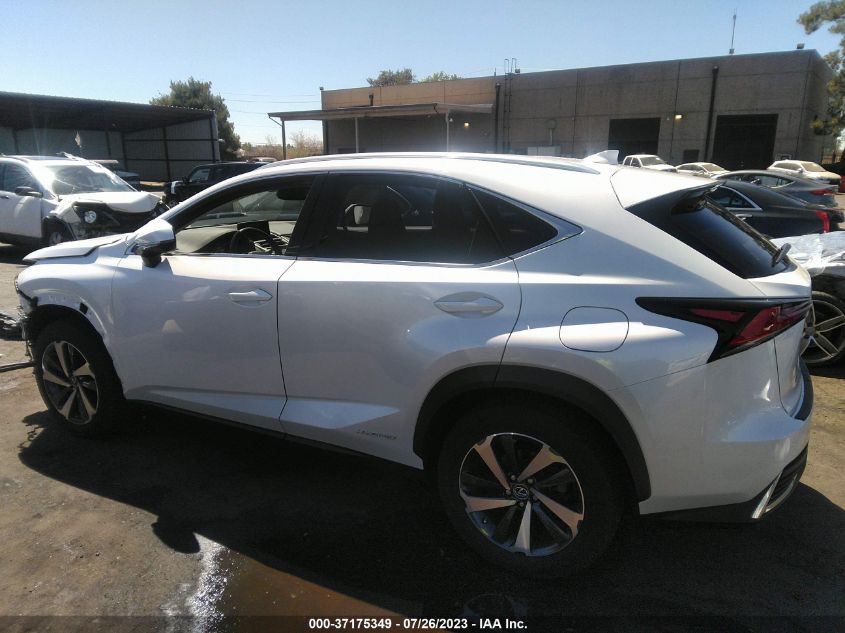 2021 LEXUS NX NX 300H - JTJGJRDZ8M5013741