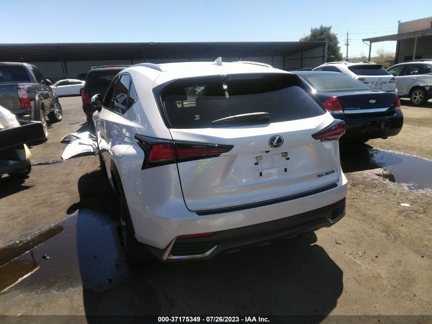 2021 LEXUS NX NX 300H - JTJGJRDZ8M5013741