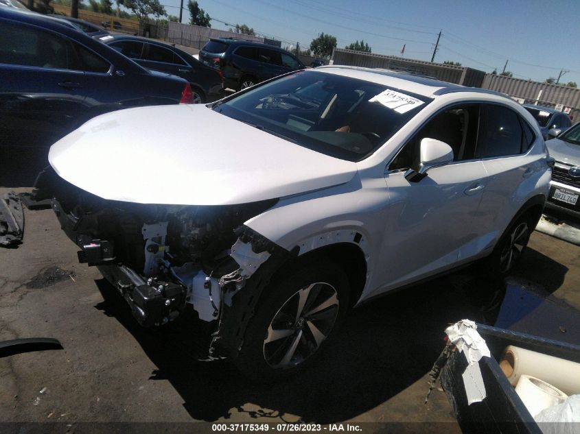 2021 LEXUS NX NX 300H - JTJGJRDZ8M5013741