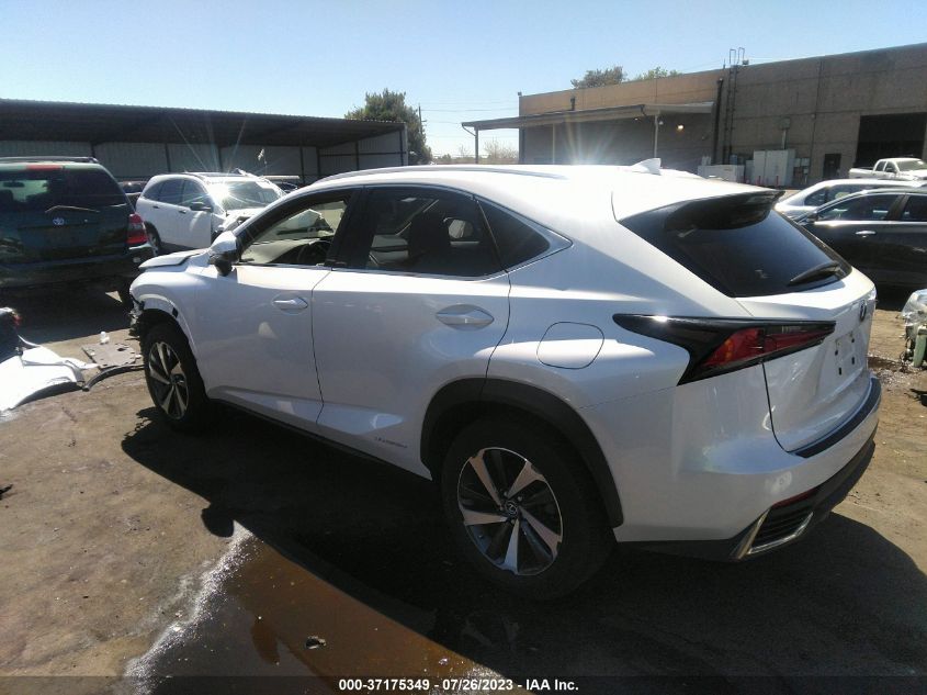 2021 LEXUS NX NX 300H - JTJGJRDZ8M5013741