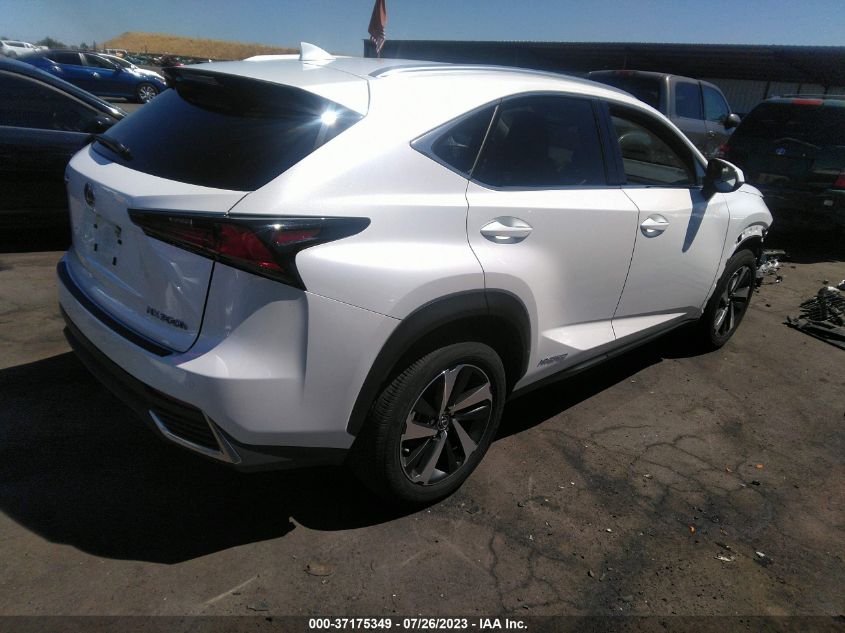 2021 LEXUS NX NX 300H - JTJGJRDZ8M5013741