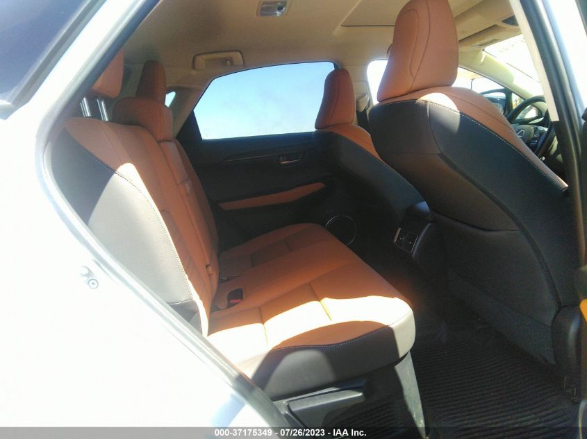 2021 LEXUS NX NX 300H - JTJGJRDZ8M5013741