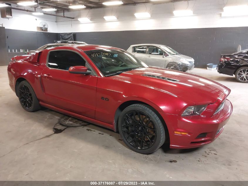 1ZVBP8CF1E5202520 2014 FORD MUSTANG - Image 1