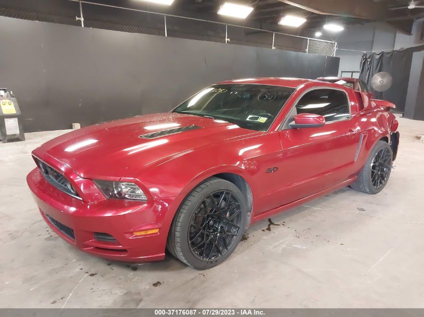 1ZVBP8CF1E5202520 2014 FORD MUSTANG - Image 2