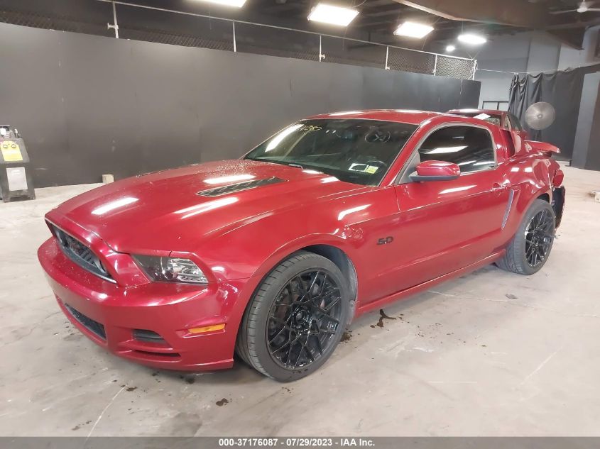 1ZVBP8CF1E5202520 2014 FORD MUSTANG, photo no. 2