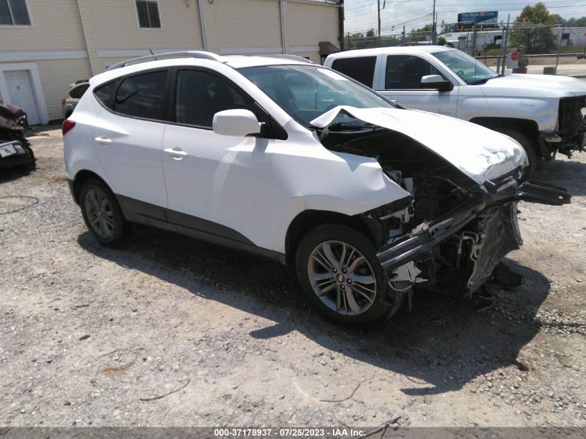 2014 HYUNDAI TUCSON SE - KM8JUCAG8EU848273