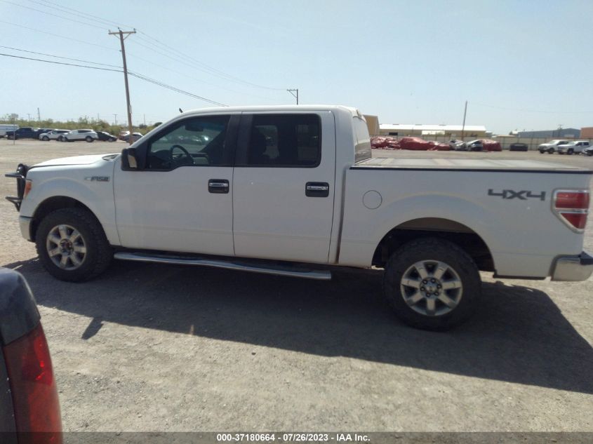 2013 FORD F-150 XL/XLT/FX4/LARIAT - 1FTFW1EF4DKG07797