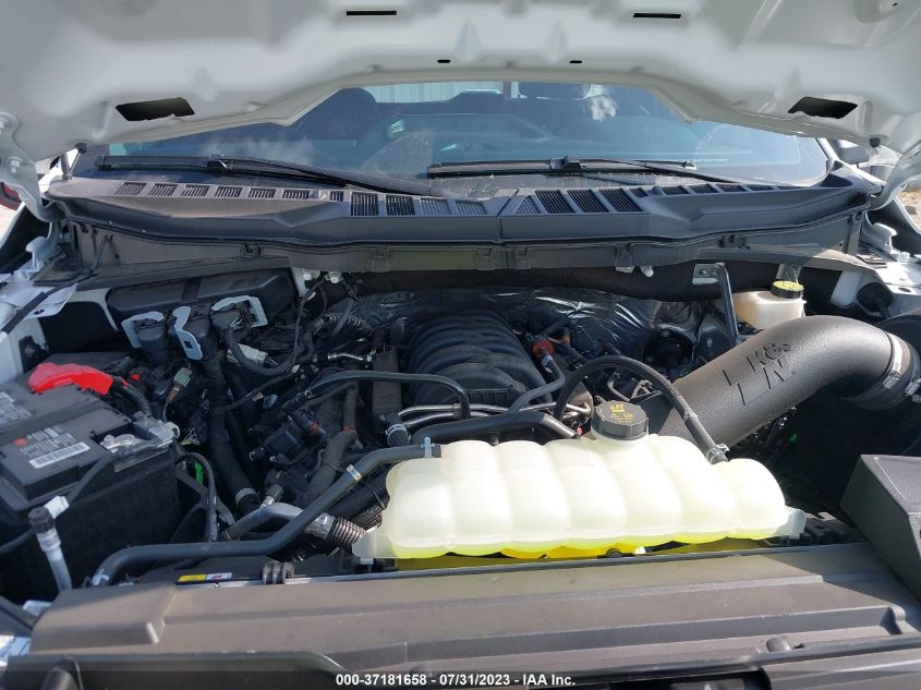 2023 FORD F-150 XL/XLT - 1FTMF1E5XPKD98195