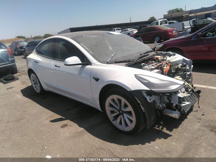 2023 TESLA MODEL 3 - 5YJ3E1EA5PF431841