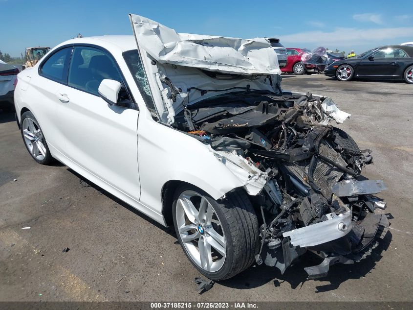 2016 BMW 2 SERIES 228I - WBA1F9C53GV742532
