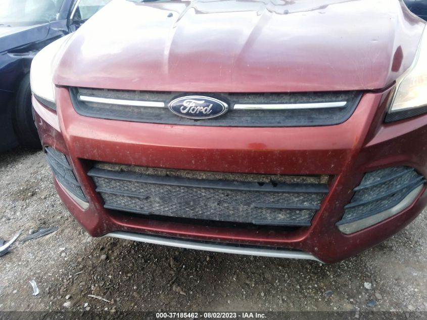 2014 FORD ESCAPE SE - 1FMCU0GXXEUC09021