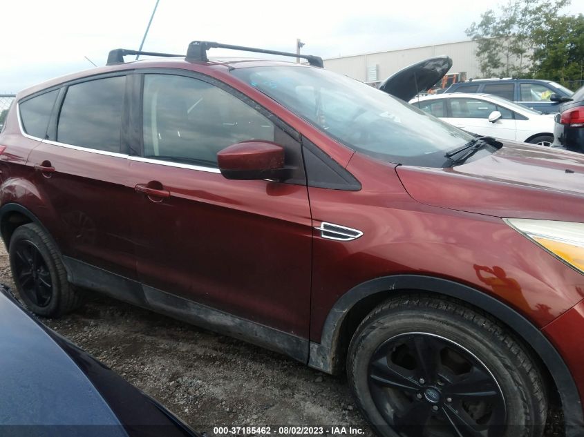 2014 FORD ESCAPE SE - 1FMCU0GXXEUC09021