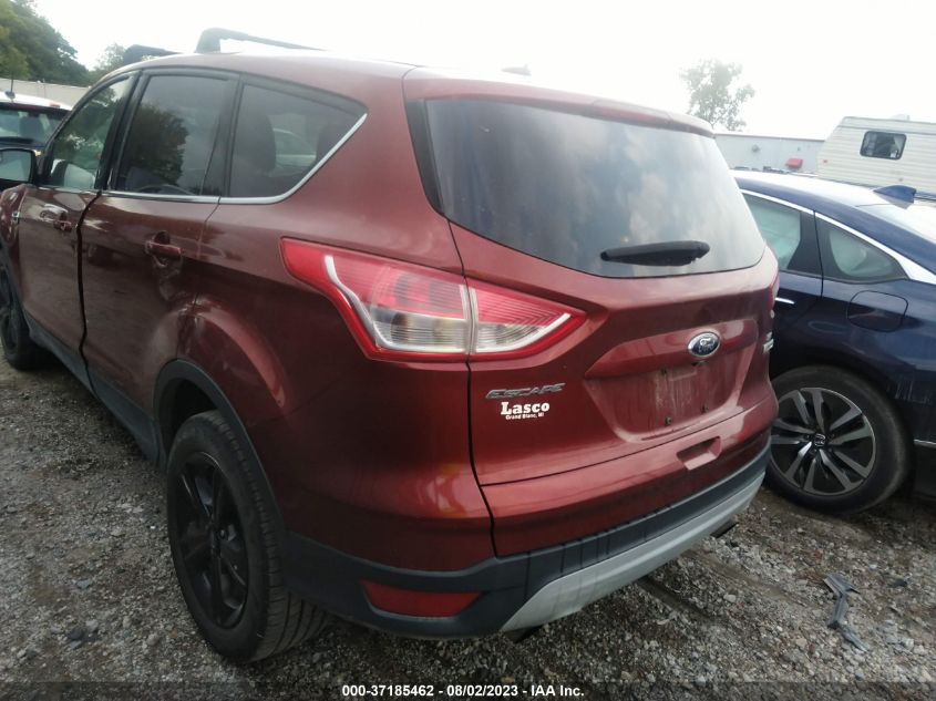 2014 FORD ESCAPE SE - 1FMCU0GXXEUC09021