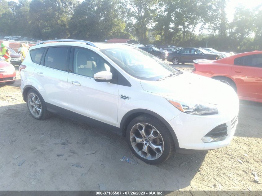 2014 FORD ESCAPE TITANIUM - 1FMCU0JX5EUB12219