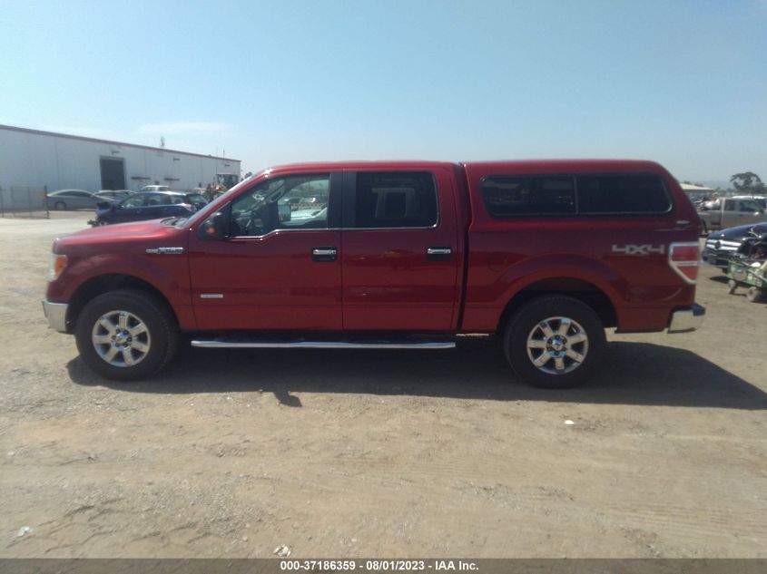 2013 FORD F-150 XL/XLT/FX4/LARIAT - 1FTFW1ETXDKE23938