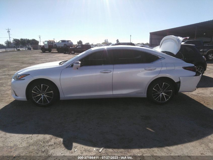 2022 LEXUS ES ES 300H - 58ADA1C17NU020842