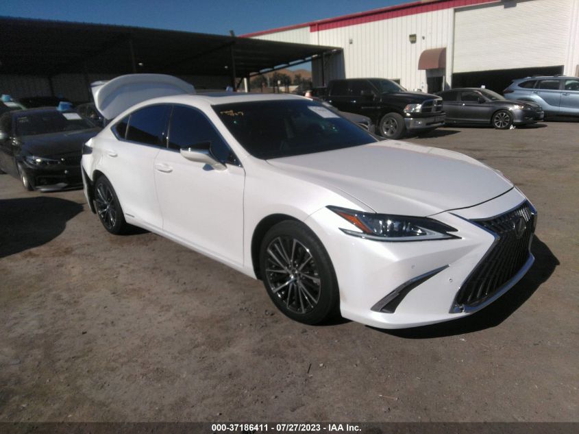 2022 LEXUS ES ES 300H - 58ADA1C17NU020842