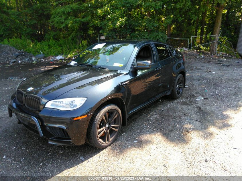2014 BMW X6 M - 5YMGZ0C58E0C40393
