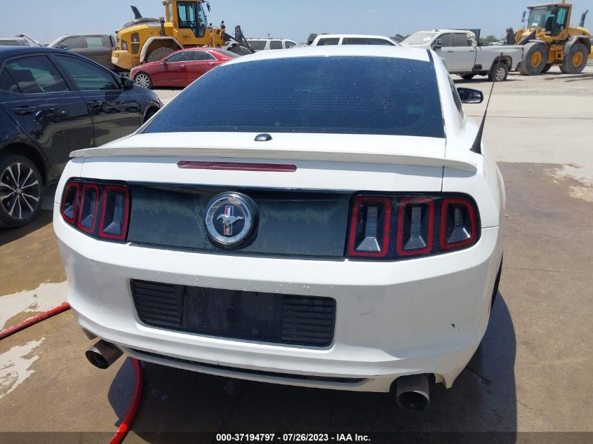 2013 FORD MUSTANG V6 - 1ZVBP8AM9D5206590