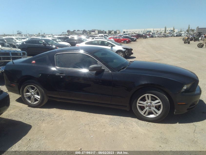 VIN 1ZVBP8AM0D5276107 2013 FORD MUSTANG no.14