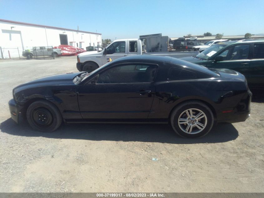 VIN 1ZVBP8AM0D5276107 2013 FORD MUSTANG no.15