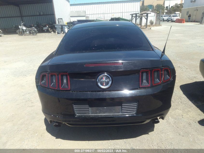 VIN 1ZVBP8AM0D5276107 2013 FORD MUSTANG no.17