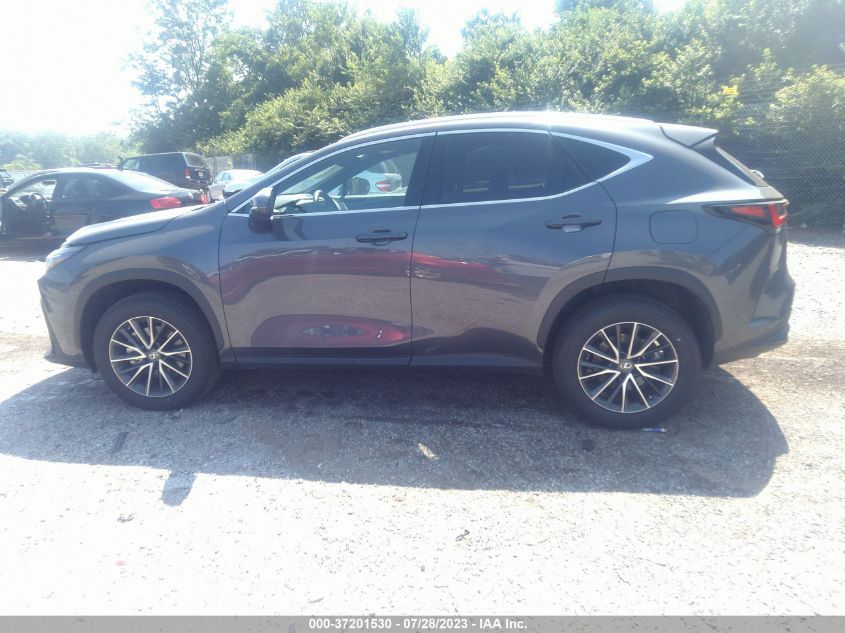 2023 LEXUS NX 350 - 2T2AGCEZ5PC017560