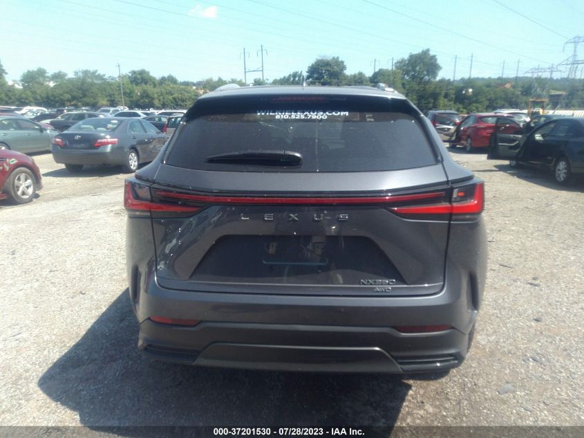 2023 LEXUS NX 350 - 2T2AGCEZ5PC017560