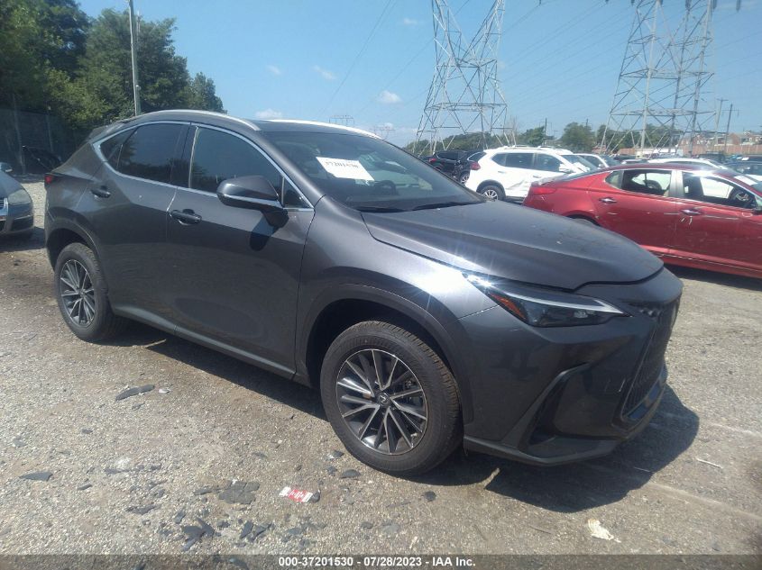 2023 LEXUS NX 350 - 2T2AGCEZ5PC017560